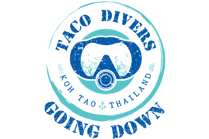 Taco Shack Divers - Sairee - Koh Tao